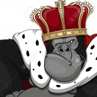 Avatar of Vladimir Minko