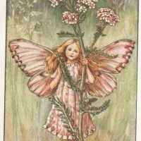 Vũ Thị Diệu Uyên's avatar