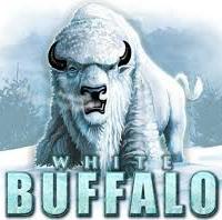 Afshin Moghadamian's avatar