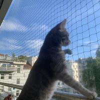 Avatar of WagnerAdrian