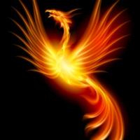 Avatar of Wagner Porto