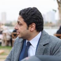 Avatar of waleedelammary