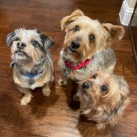 Jeff Gamble's avatar