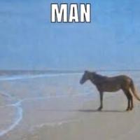 waytoogeeked's avatar