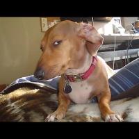 Avatar of Weaintbetterthanothers