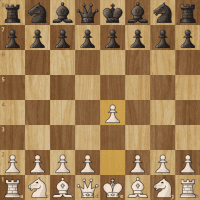 Avatar of Rafael Palathingal