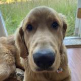 Avatar of Whatnameisthis