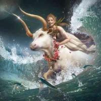 Dan H Gutermuth's avatar