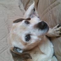 William R Davis's avatar