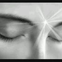 Avatar of Amir Abbas