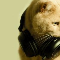 winniethepooh04's avatar