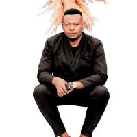 Avatar of Ntshembo Mukansi