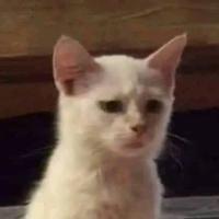 Avatar of John Roland Sobreno