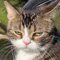 Avatar of Yarzar-998