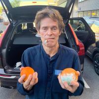 Avatar of yasarhakan