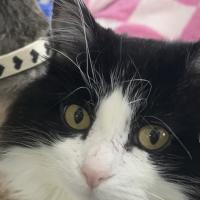 Avatar of Steve Martin