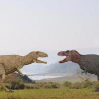 Arina Berezovskii's avatar