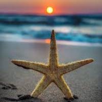 Avatar of jovan markovic