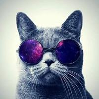 Avatar of Anas Nabhan