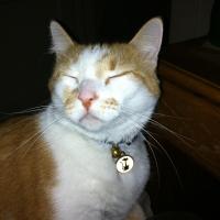 Avatar of Adam Dickerson