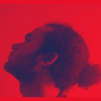 Avatar of Yousef Zayed