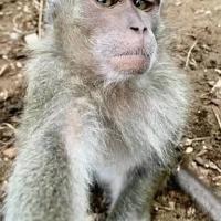 Avatar of rakha gusty