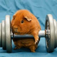 Yoann Robert's avatar