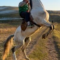 Avatar of Zafarbek780710