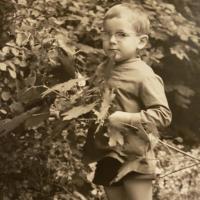 Avatar of Vincent Bouchaud