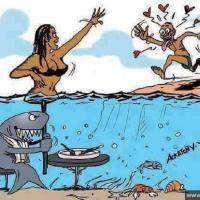 Avatar of Maqondisa Mlambo