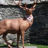 Mario Sibilio's avatar