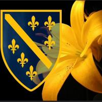 Avatar of zmajodBiH1