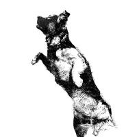 Avatar of Tania Salvang