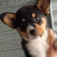 Avatar of Bart Muñoz