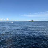 Avatar of Martin Maida