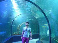 Avatar of Zpzpz Andrey