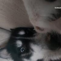 Avatar of zukaa201026