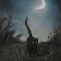 Avatar of Anwar Hussein